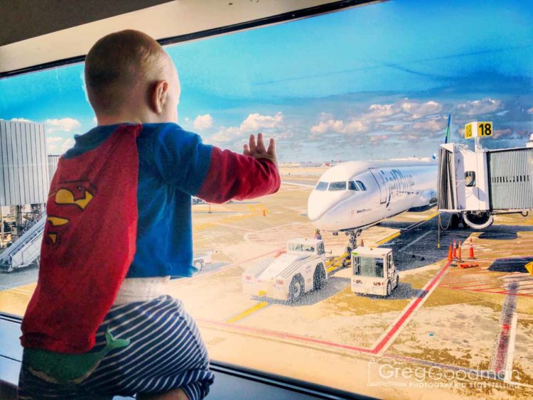 Bodhi looks out at San Francisco International Airport