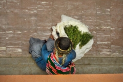 Looking down at a herb vendor in the Tupiza Central Market in Bolvia