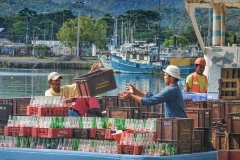 Local workers toss empty crates of soda onto a pier, after being consumed by tourists on the Bay Islands