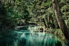 The Blue Creek river runs through Belize