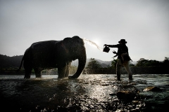 Mae Perm (the elephant) gets a bath from her mahoot (trainer) at the Elephant Nature Park outside Chiang Mai, Thailand