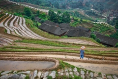 A worker takes a break to admire the view at the Longji Rice Terraces in Guilin, China