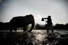 Mahoot Bath - Elephant Nature Park, Chiang Mai, Thailand