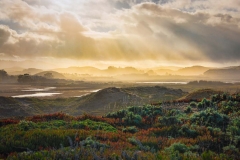 After the Storm - Pescadero, California, USA