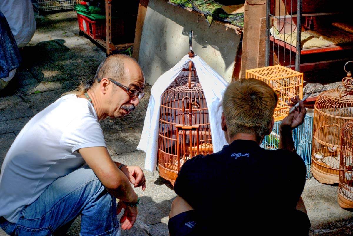 Locals discuss their aviary friends at the Yuen Po Bird Garden