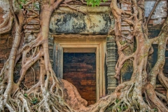 Door-Vines-Prasat_Pram-Koh_Ker_Ruins-Cambodia-Greg_Goodman-AdventuresofaGoodMan-1