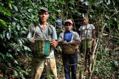 Coffee workers stand with their canastas (baskets), ready to pick beans