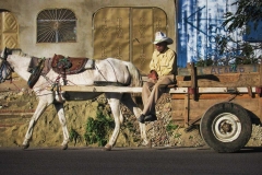 This horse and cart serves as a popular way for locals to get around in Nicaragua