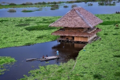 A home sits on the Amazon River near Iquitos, Peru