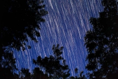 A 30 minute exposure of stars above a maloka at the Patiti Institute in Iquitos, Peru