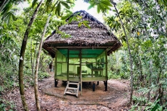 I lived in this hut for a month while attending a retreat at the Paititi Institute