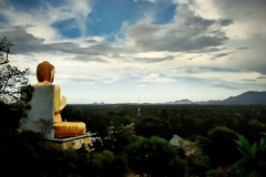 A giant Buddha statue overlooks the Sri Lankan countryside