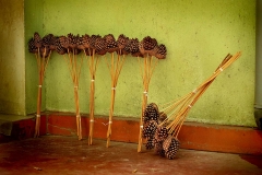 These pinecone things are for sale ... for, um, some important reason?