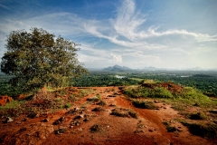 The Sri Lankan countryside, as seen from high atop the Sigiriya Rock Fortress