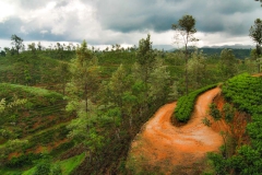 A "highway" running through the Sri Lankan countryside