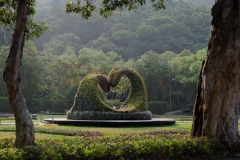 A bush of love at the Chiang Kai Shek Shilin Residence in Taipei