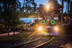 Roaring_Camp_Railroad-Holiday_Lights_Train-Santa_Cruz-California-USA-GregGoodmanPhotography