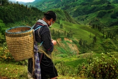 A Xao tribeswoman takes a break from hiking to weave a gift for a tourist
