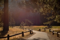 Paved paths run through Yosemite Valley near the Sentinal Bridge
