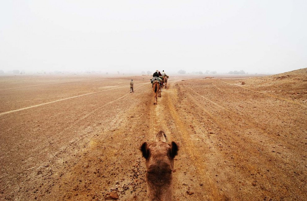 Riding along on a camel safari in Jaisalmer, India