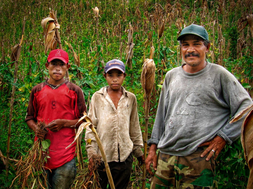 Nayo and his workers pick frijoles on his finca in Murra, Nicaragua