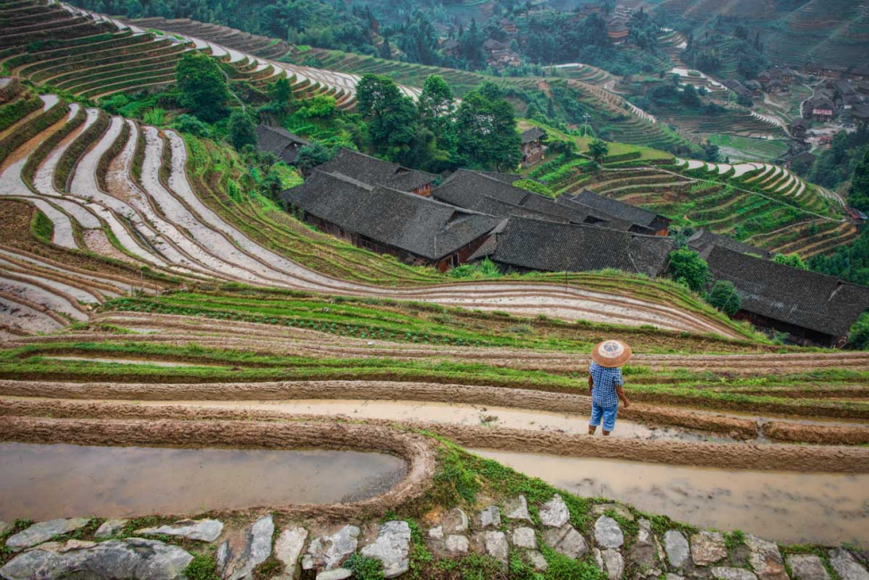 A worker takes a break to admire the view at the Longji Rice Terraces in Guilin, China