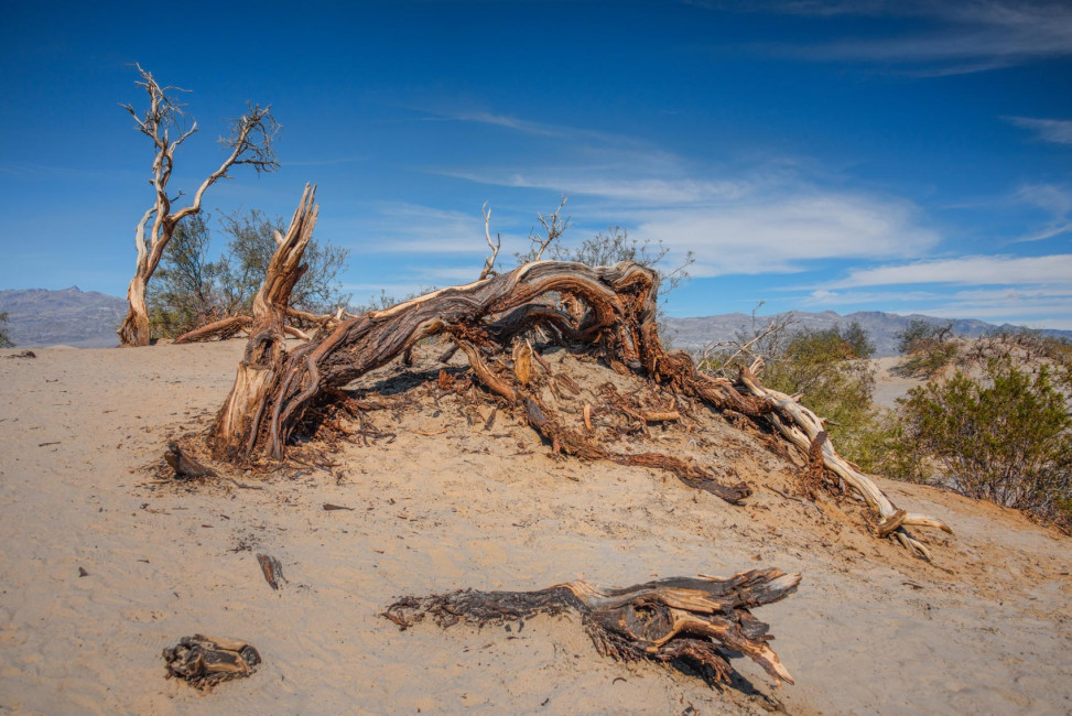 Death Valley is one of the hottest places on earth ... especially at the MEsquite Flat Sand Dunes