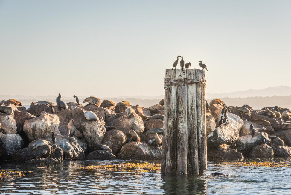 Sunrise over the Monterey Bay in California