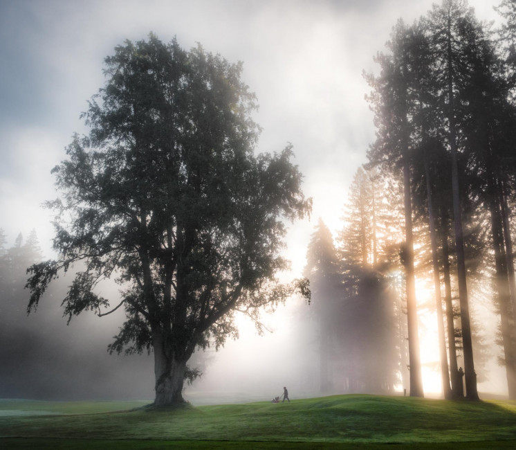 Early morning at the Northwood Golf Club in Monte Rio, California
