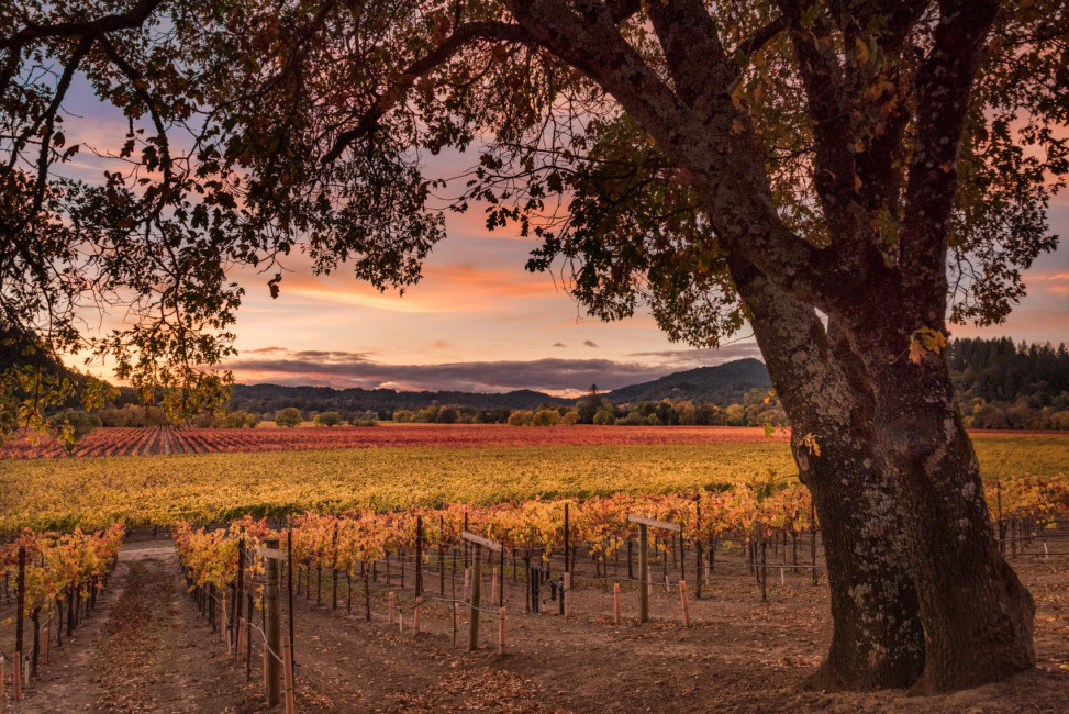 Sunset over the Woosley Winery in Sonoma County, California