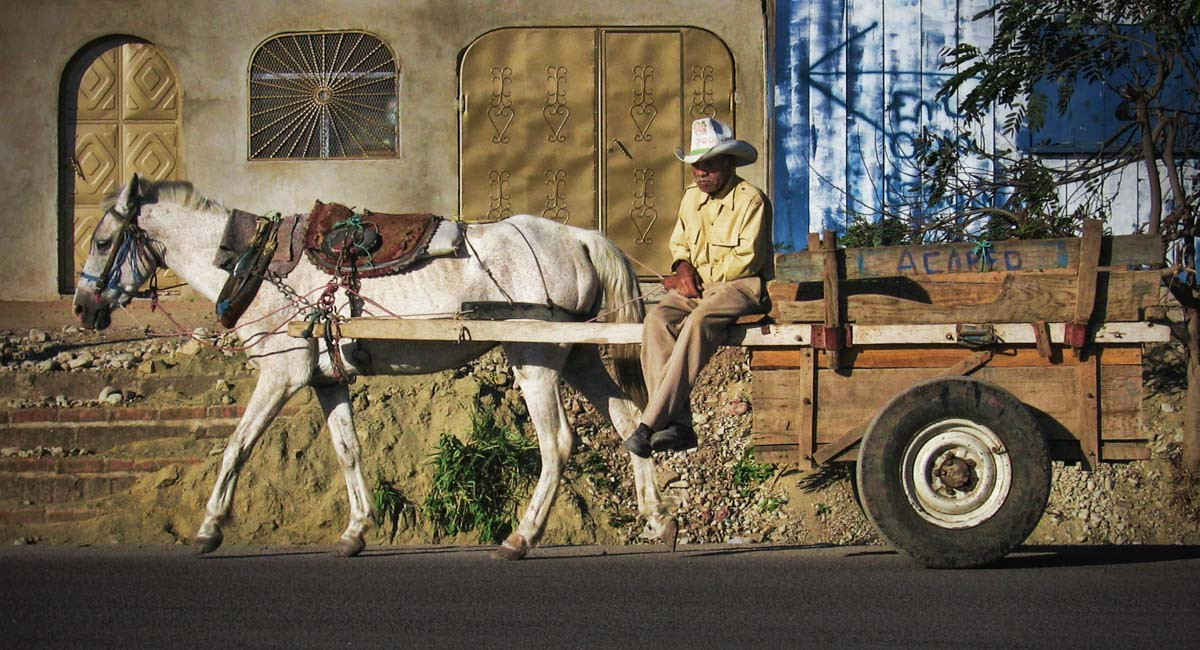 This horse and cart serves as a popular way for locals to get around in Nicaragua