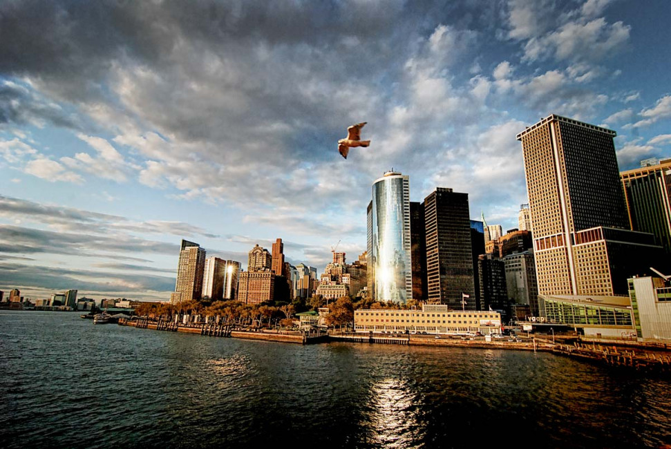 Downtown_Manhattan_Sunburst-Bird-New_York_City-NYC-Greg_Goodman-AdventuresofaGoodMan-1