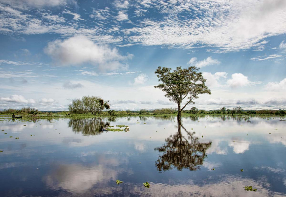 A view of the Amazon River near Iquitos, Peru