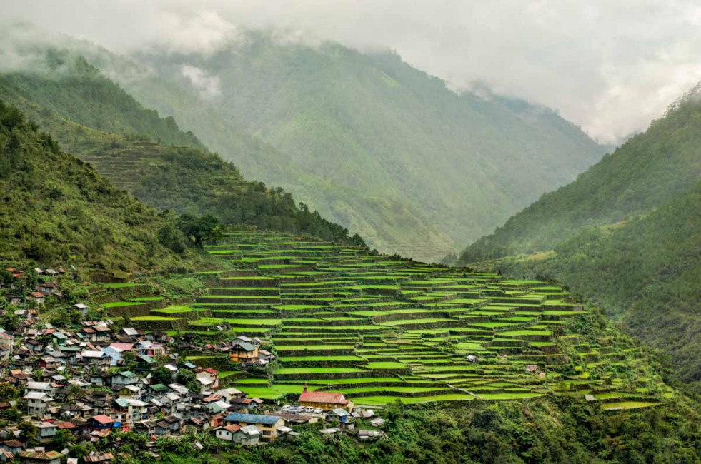 The Bayyo Rice Terraces are a UNESCO Heritage Site located in Cordilleras, Philippines