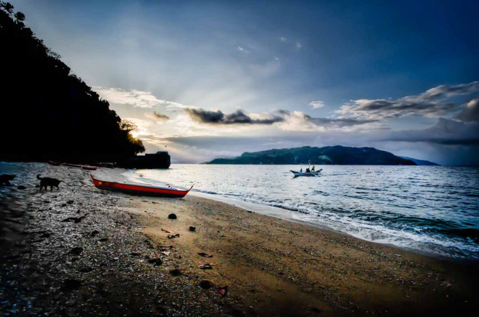 Simba the dog hangs out on the beach on Romblon Island, Philippines