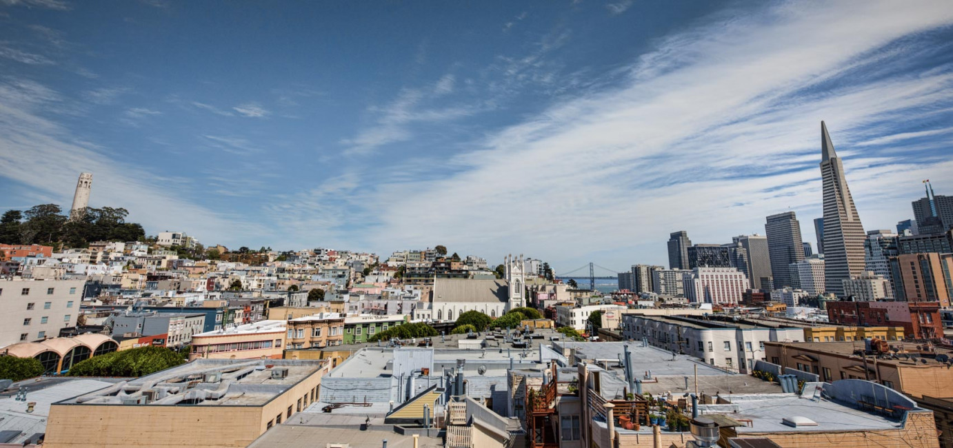 A sweeping view of the San Francisco skyline, from Coit Tower to the Transamerica Building