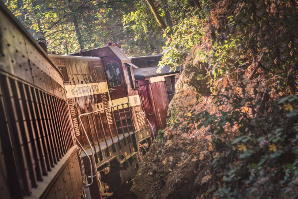 Roaring Camp Railroads is a winding train ride through Henry Cowell State Park