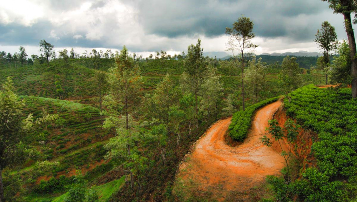 A "highway" running through the Sri Lankan countryside