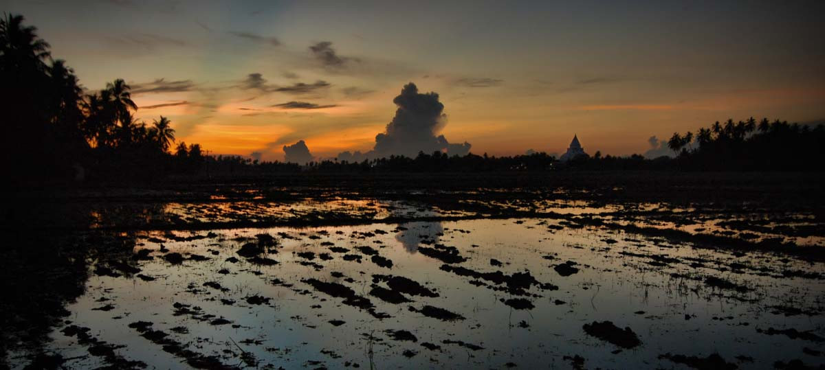 Tissamaharama-Rice_Field-Sunrise-Sri_Lanka-Greg_Goodman-AdventuresofaGoodMan-1