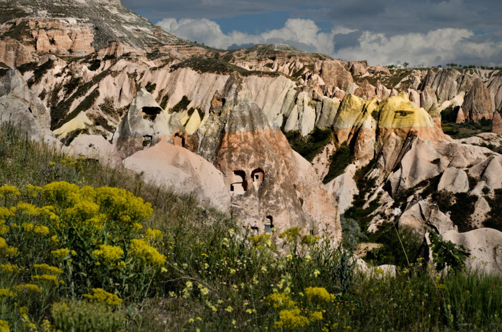 Flowers in the Red Valley of Goreme in Cappadocia, Turkey