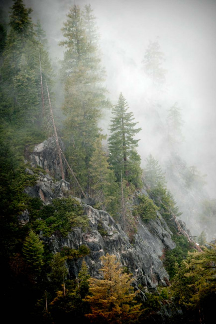 A foggy morning at Glacier Point in Yosemite National Park