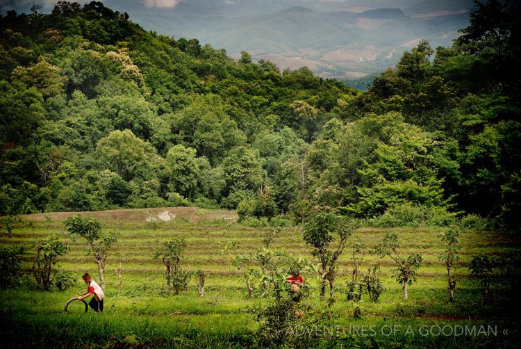 Boys playing with tires in Northern Thailand