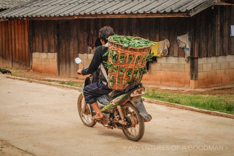 A local carries a basket of produce on his motorcycle