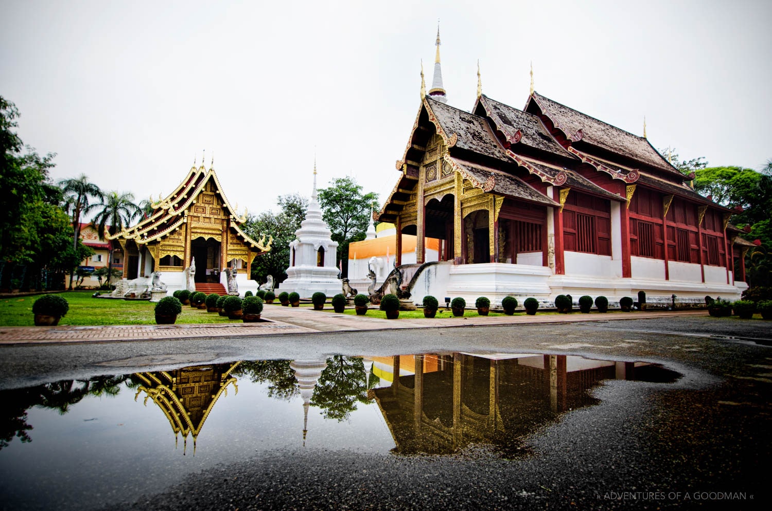 Wat Phra Singh reflected in an early morning puddle — Chiang Mai, Thailand