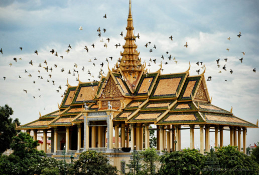 A flock of birds at the Moonlight Pavilion in the Royal Palace, Phnom Penh, Cambodia