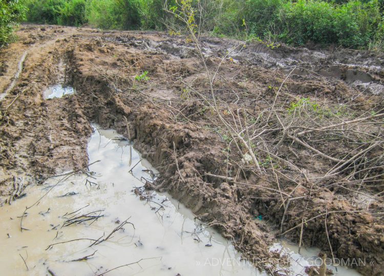 Mud and monsoon rain fill the tire tracks on the road to Kampong Phluk, Cambodia