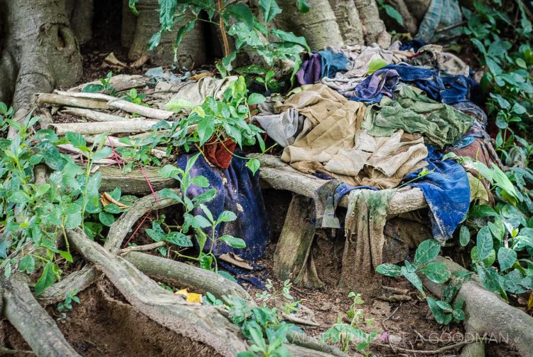 The bones and clothes of children who were killed by being beaten against a tree