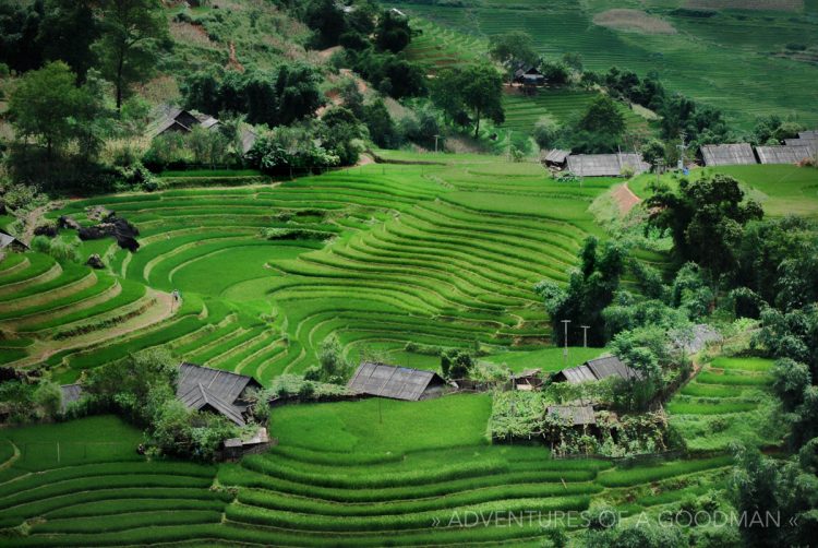 Circular rice paddies in Sapa, Vietnam