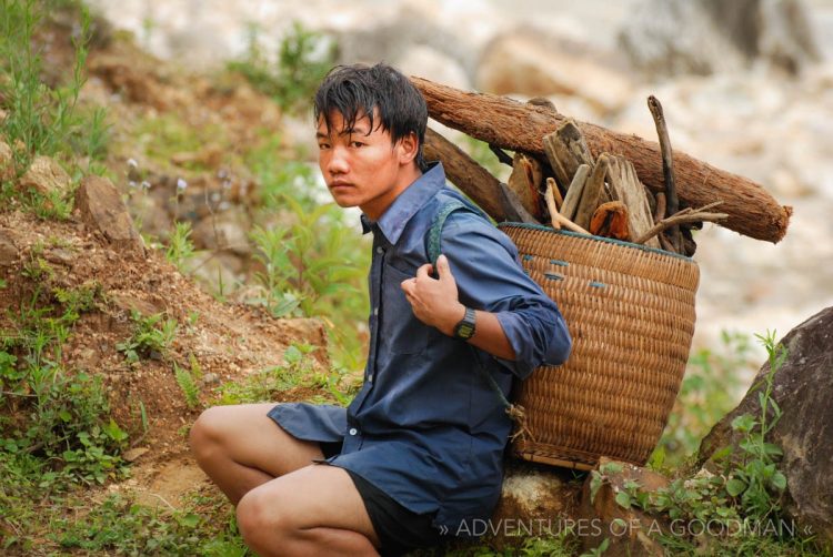 A local man carries heavy firewood on his back in Sapa, Vietnam