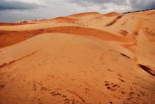 Go sandboarding on the red dunes of Mui Ne